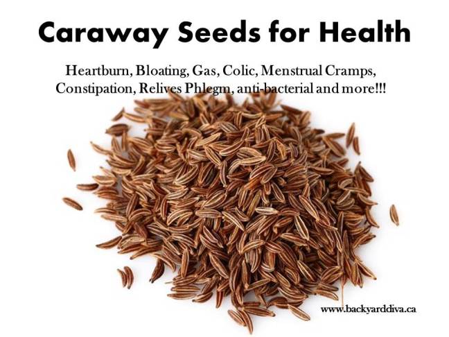 Caraway seed